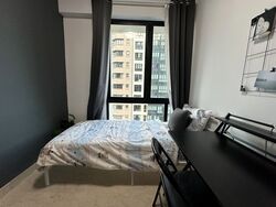 Simsville (D14), Condominium #543981401